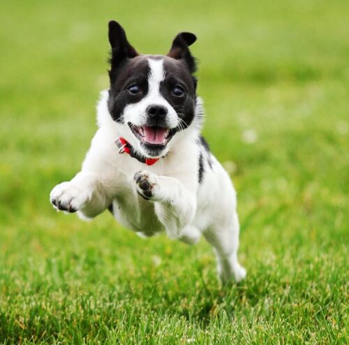 What are Townshare Communities?